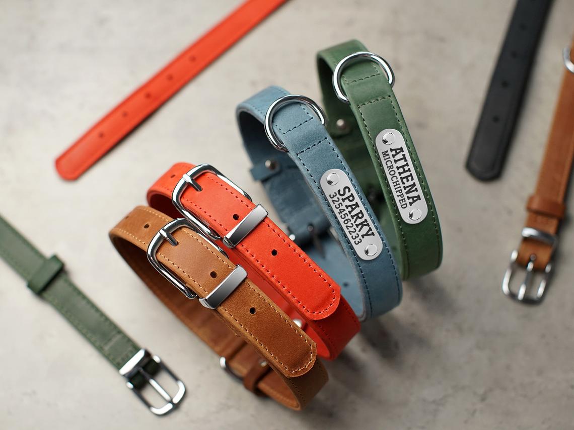 Personalized Leather Dog Collar