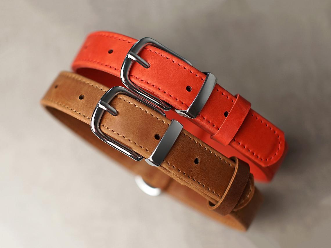 Personalized Leather Dog Collar