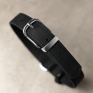 Personalized Leather Dog Collar