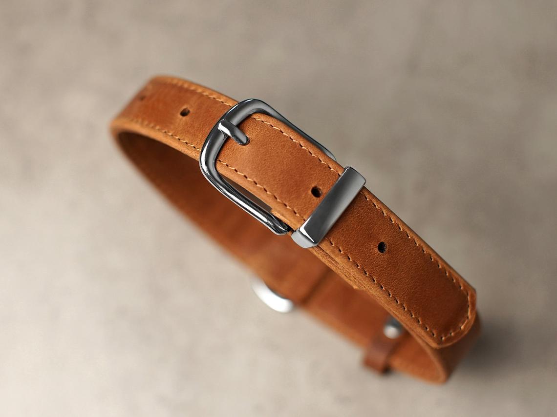 Personalized Leather Dog Collar