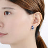 Silver with Cubic Zirconia Stones Earrings - Exinoz