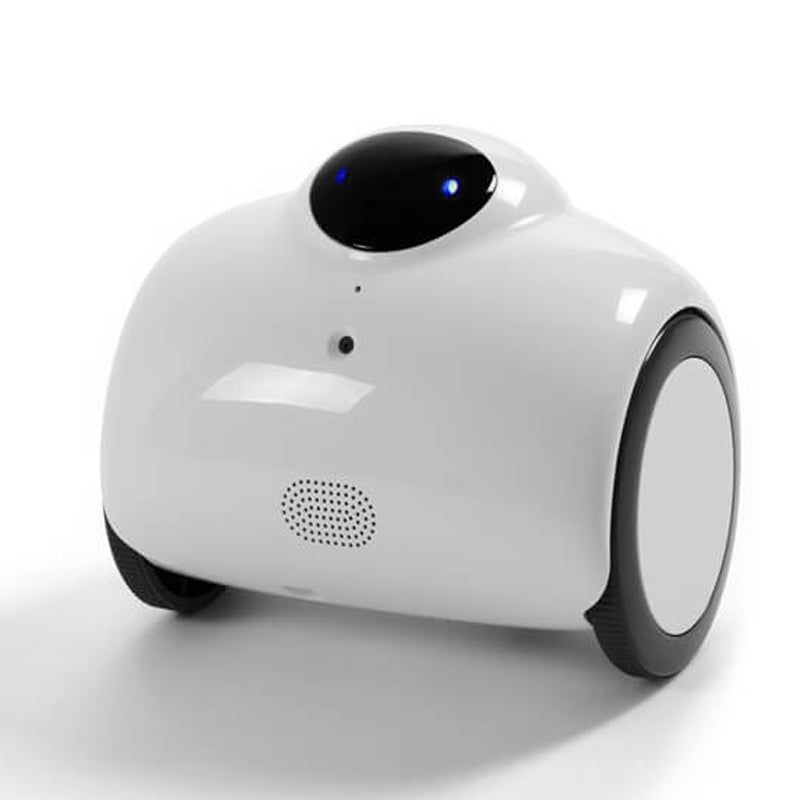 WIFI Family Robot - Exinoz