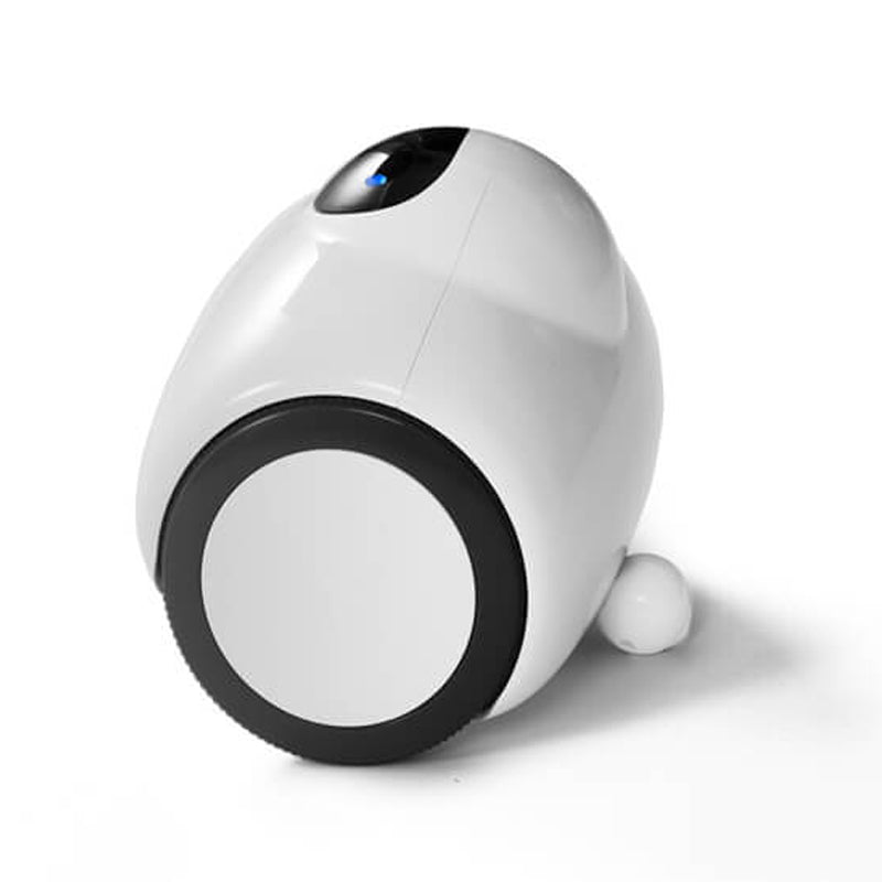 WIFI Family Robot - Exinoz