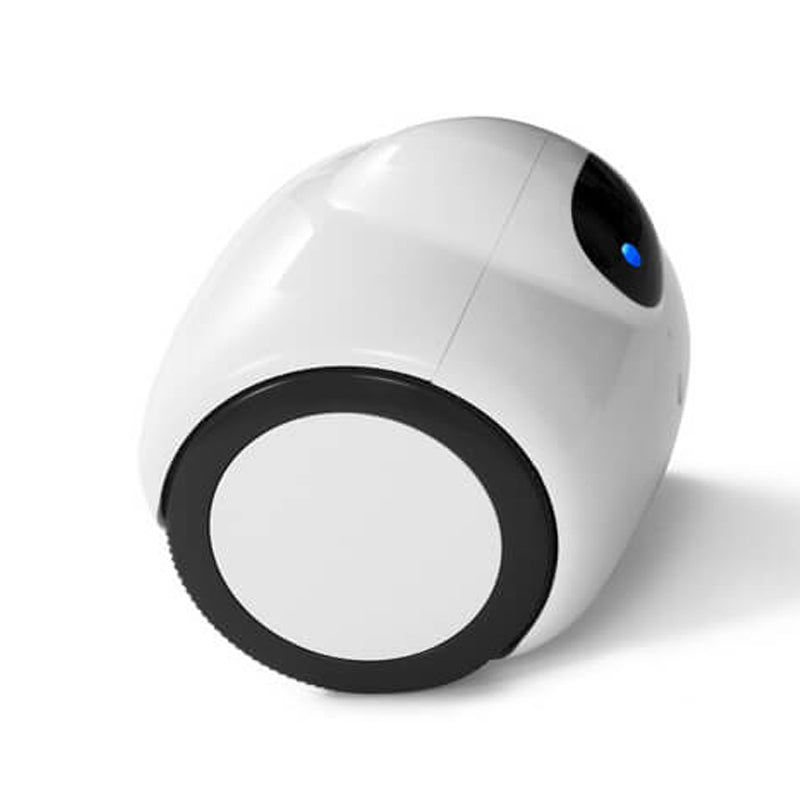 WIFI Family Robot - Exinoz