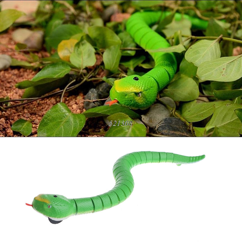 Remote Control Snake Toy - Exinoz